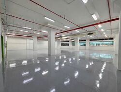 Lam Soon Industrial Building (D23), Factory #573463211